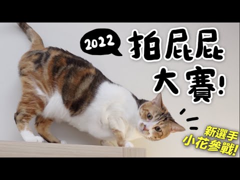 【黃阿瑪的後宮生活】拍屁屁大賽!新選手小花參賽