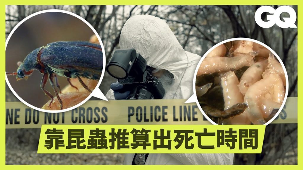 蒼蠅協助破案!法醫昆蟲學家如何利用昆蟲還原命案現場? How Bugs Help Solve Crimes|科普長知識|GQ Taiwan