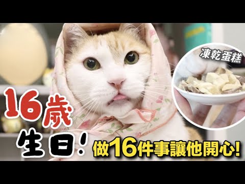 【黃阿瑪的後宮生活】阿瑪16歲生日!做16件事讓他開心!