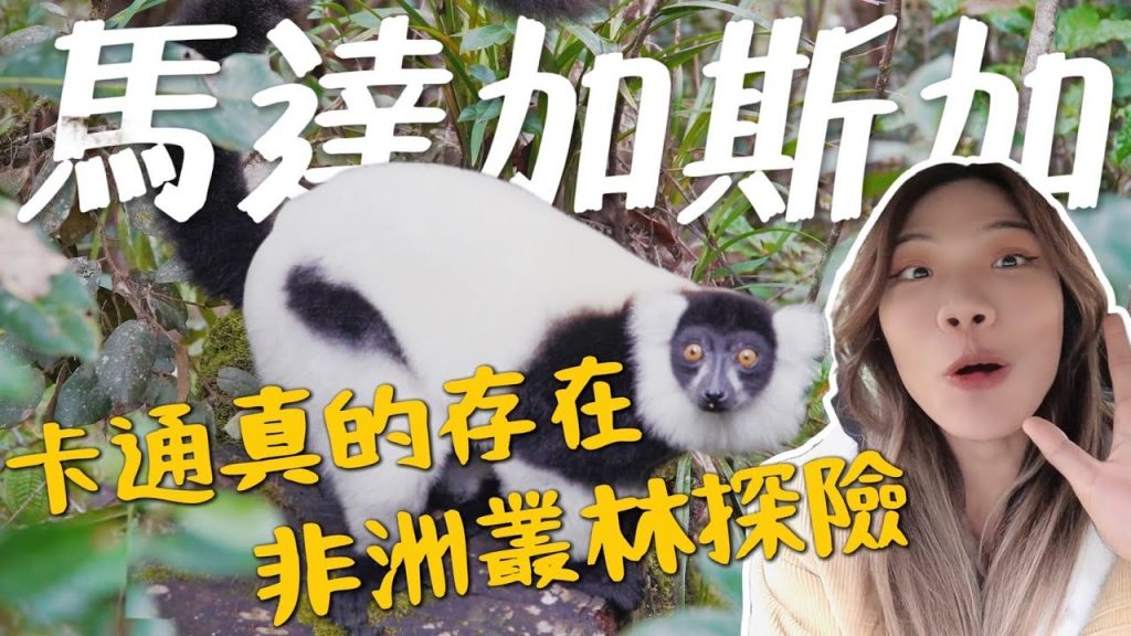 馬達加斯加!出發夢幻島~勇闖非洲叢林,卡通人物現身?|環球之旅 Madagascar