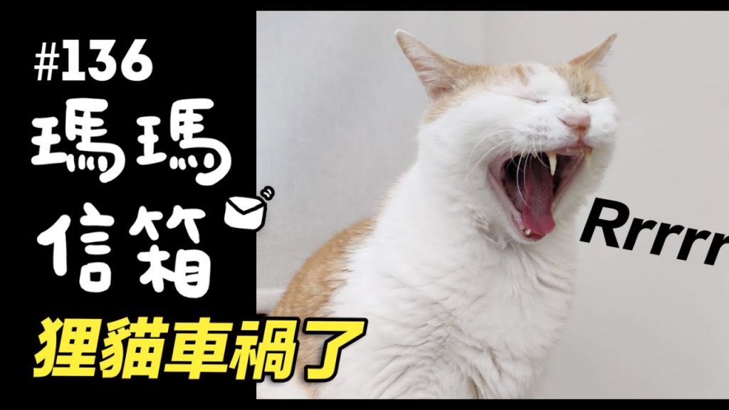 狸貓車禍了|瑪瑪信箱《第136集》