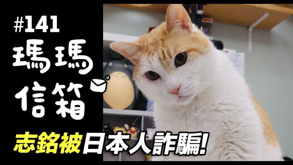 志銘被日本人詐騙!|瑪瑪信箱《第141集》來賓:葉天倫導演 #詐團圓