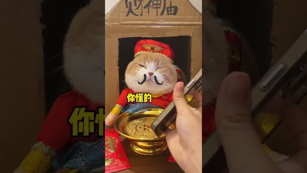【麻蛋和丑丑】不愧是招财猫,真的管用!!