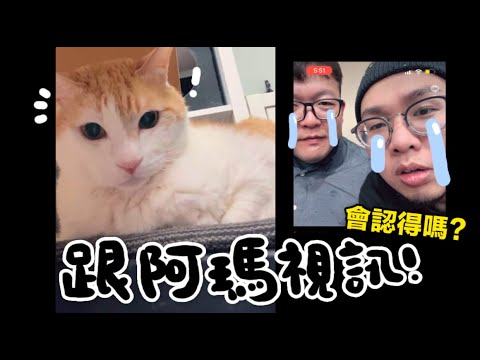 【黃阿瑪的後宮生活】出國時跟阿瑪視訊!會認得奴才嗎?