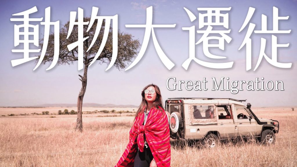 必看!肯亞『動物大遷徙』非洲五霸我竟然看到牠?最震撼的生命旅程 Great Migration|環球之旅 Kenya