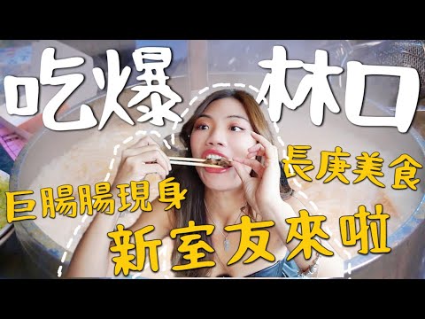 吃爆林口!學生吃到長大~巨霸腸工程師最愛?新室友拜碼頭拉!!|龜山林口 feat. Emma床墊