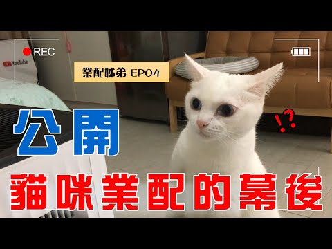 【業配姊弟 EP04】 直接公開!貓咪業配幕後的真相