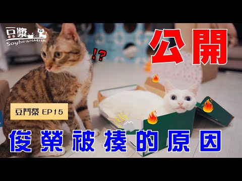 【豆鬥榮 EP15】 原來是這樣 難怪你會被揍…