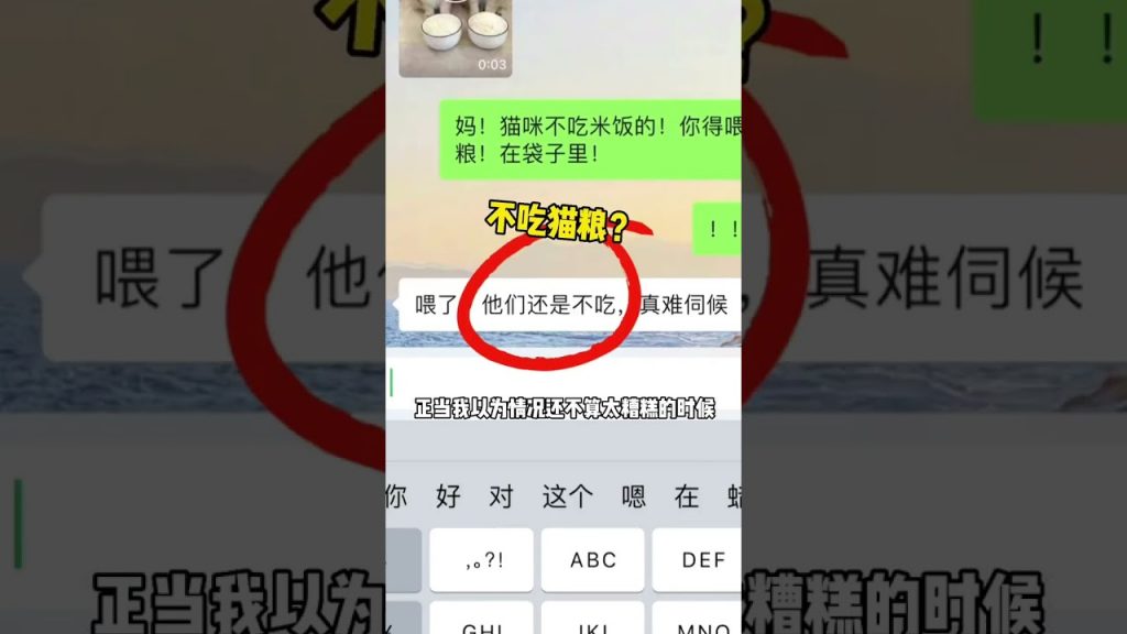 【麻蛋和丑丑】…最后事情怎么向莫名其妙的方向发展了?😅