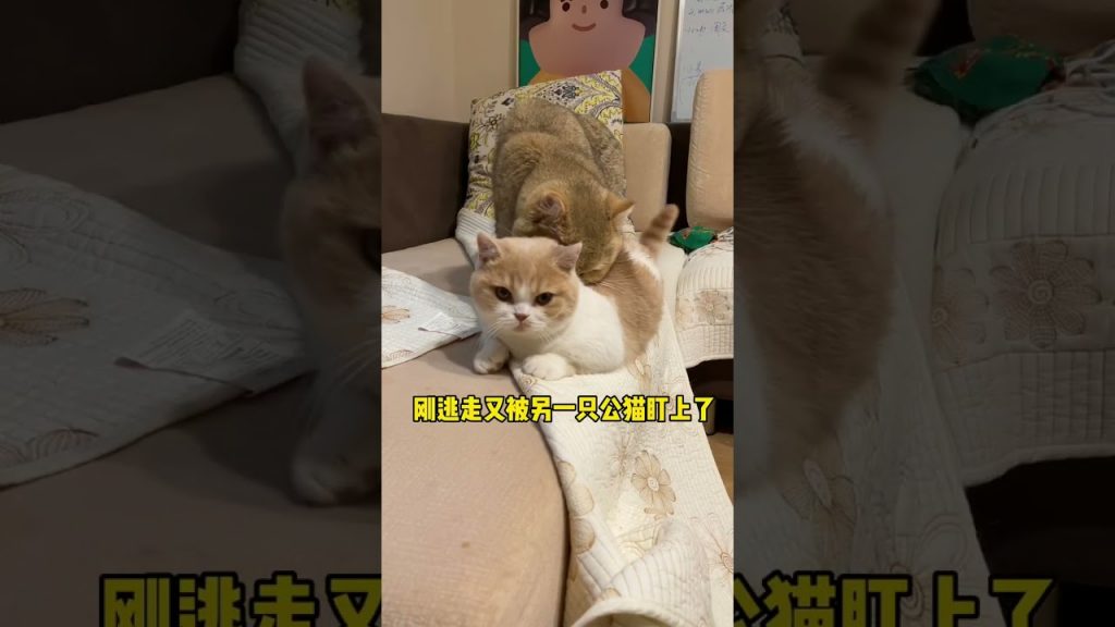 【麻蛋和丑丑】像不像男多女少的工科学校!