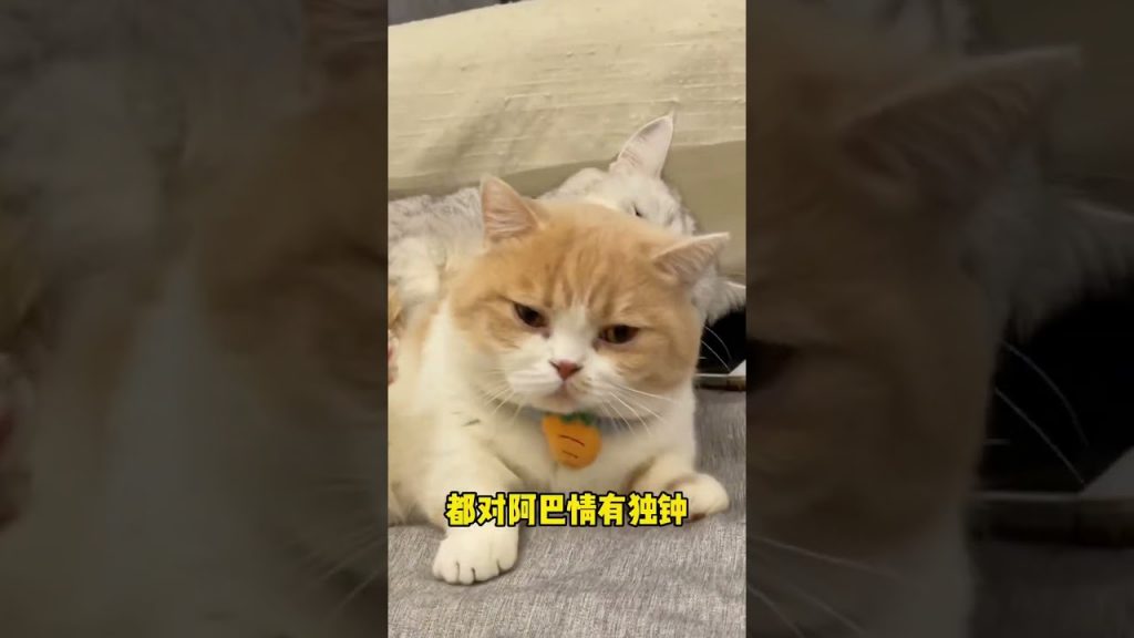 【麻蛋和丑丑】这也太离谱了!