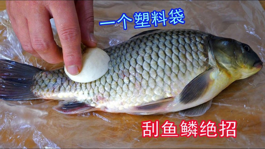 今天才知道,刮鱼鳞原来只需一个塑料袋,不飞溅不脏手太厉害了Techniques for removing fish scales