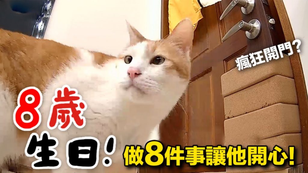 【黃阿瑪的後宮生活】浣腸8歲生日!做8件事讓他開心!