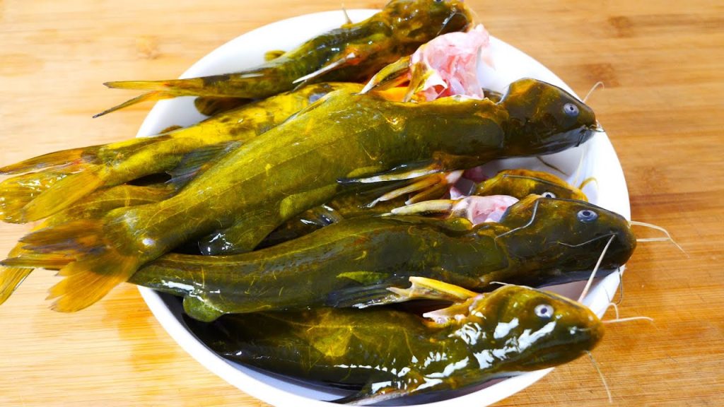 爱吃黄骨鱼一定要收藏,教你从没吃过的做法,鱼肉鲜嫩入味还不腥Yellow Bone Fish