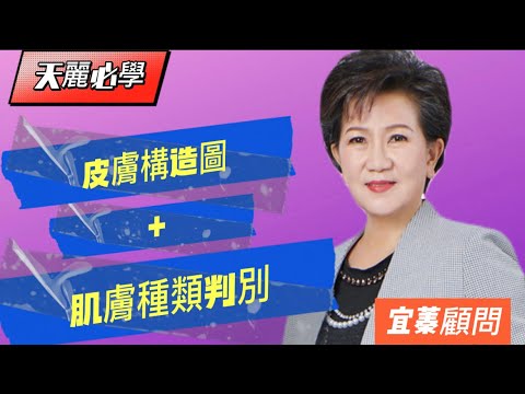 【天麗生技】天麗必學!肌膚構造圖+如何判別肌膚種類!