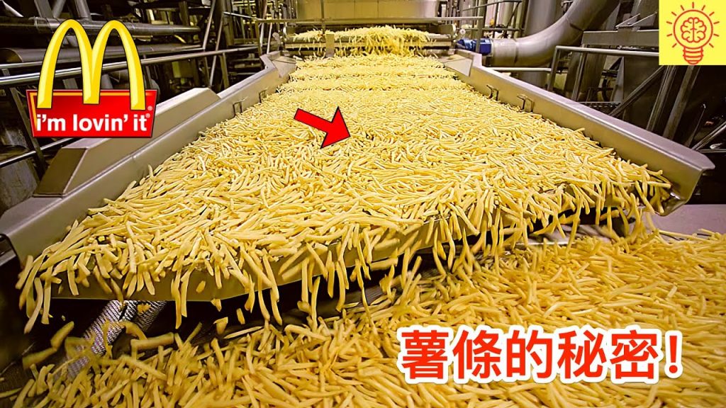 麥當勞絕對不想外流的食品秘密!薯條的秘密太瘋狂了!