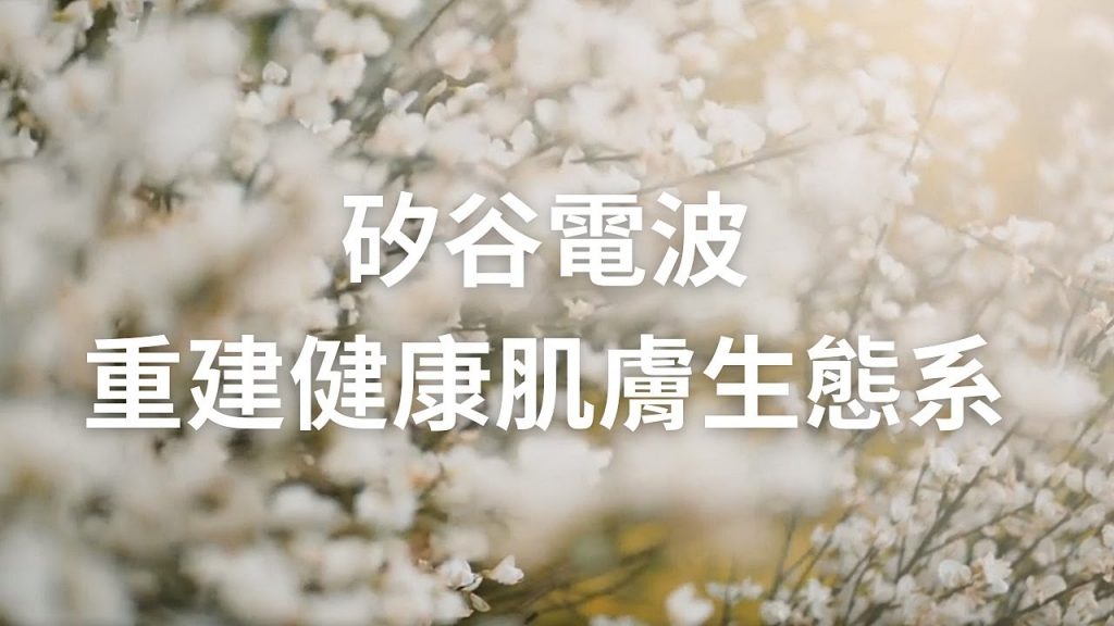 矽谷電波打造不易長斑的膚質