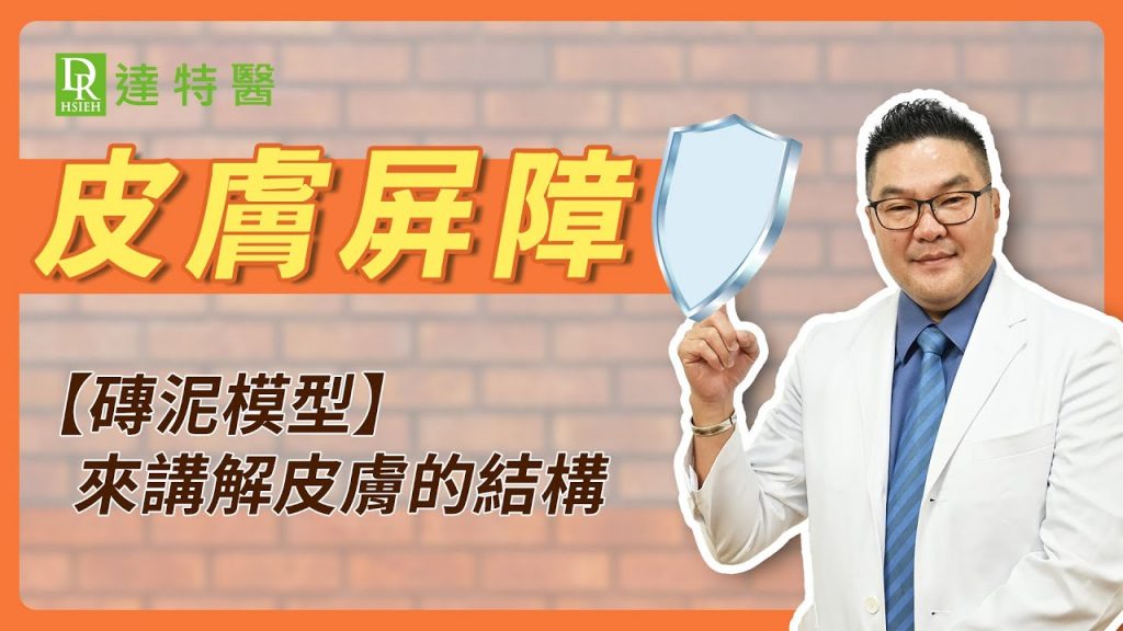 如何修復屏幕上受損的皮膚?神經酰胺讓肌膚全天保持水潤乾爽!|Dr. Hsieh