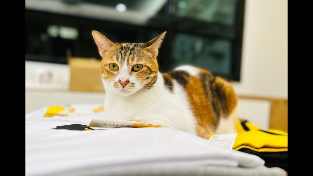 |瑪瑪信箱《第148集》