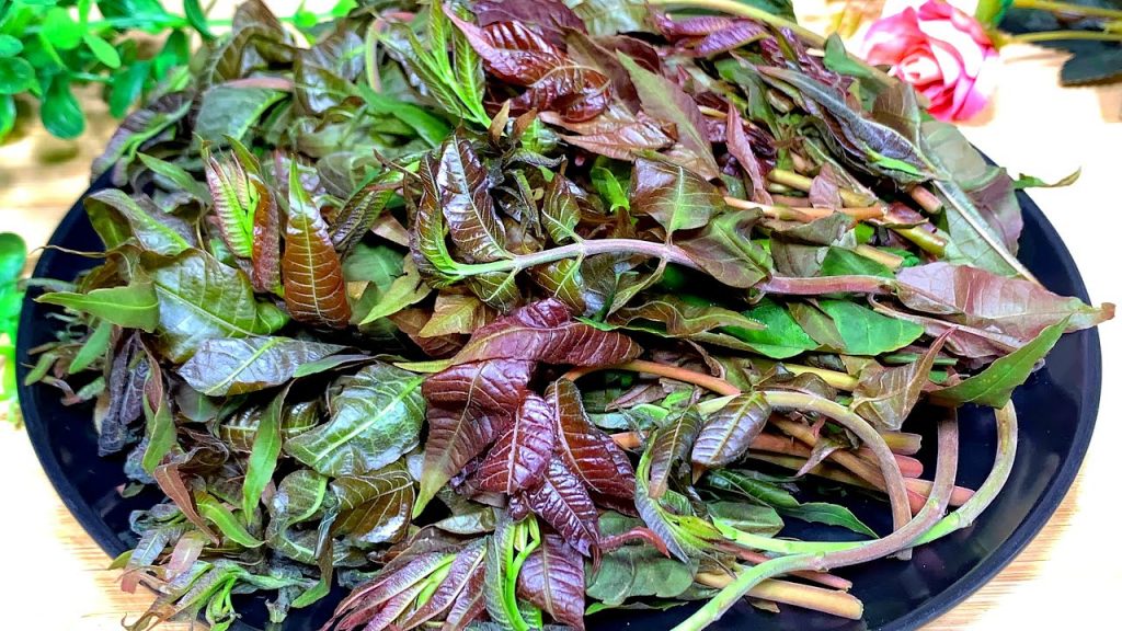 香椿焯水是嚴重錯誤!酒店大廚教我一招,鮮嫩美味,營養不流失【劉姐廚房 Magic Food】#香椿