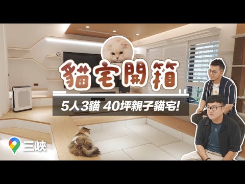 #貓宅開箱【打破你想像的人貓空間】五人、三隻貓的40坪親子貓宅