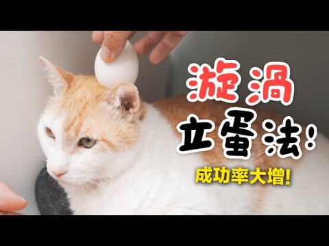 【黃阿瑪的後宮生活】漩渦立蛋法!成功率大增!