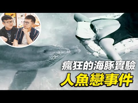 【人跟動物會戀愛嗎?瘋狂的海豚實驗,竟演變成人魚戀的故事!】志銘與狸貓