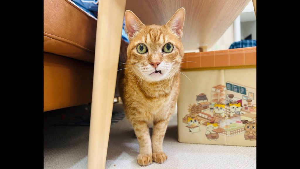 |瑪瑪信箱《第150集》