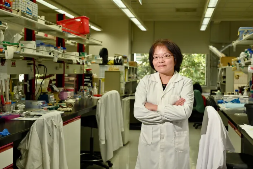 醉心系統生物學研究 喻秋華用斑馬魚解碼疾病