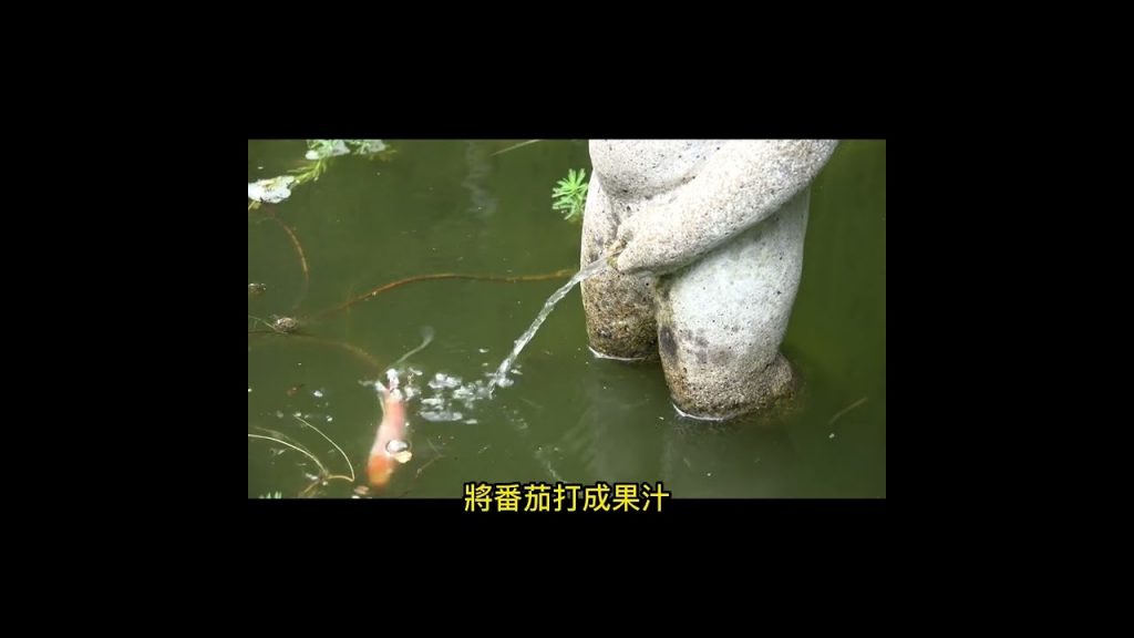保健腺!男人必吃的“茄子”