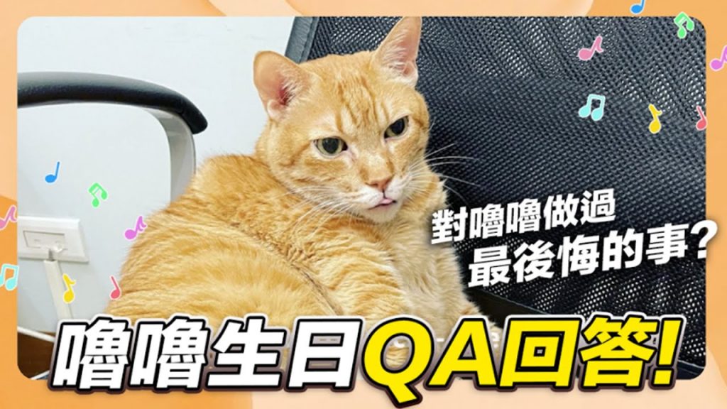 【嚕嚕生日QA!對嚕嚕做過最後悔的事?】志銘與狸貓