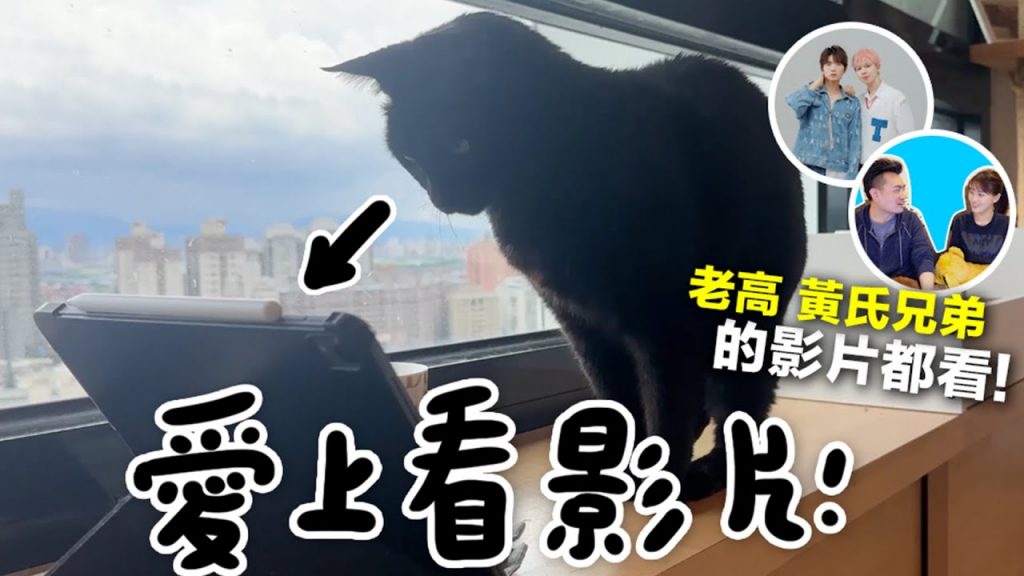 【黃阿瑪的後宮生活】Soso愛上看影片!老高、黃氏兄弟的影片都看!