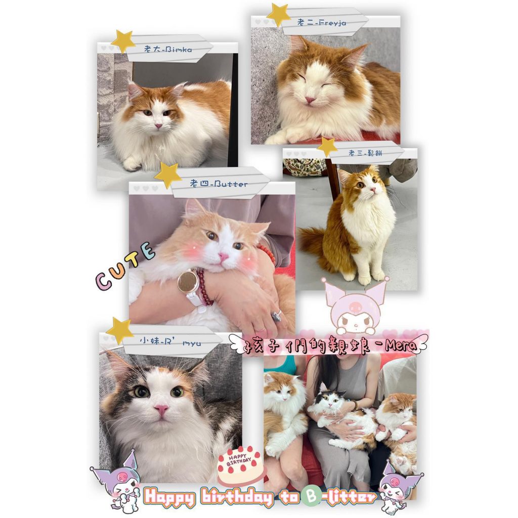 B胎寶寶兩歲生日快樂
Bimka
Fr | ibeauty