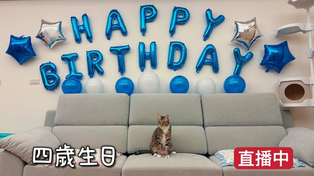 【豆漿 – SoybeanMilk】俊榮4歲生日啦,直播看本帥!