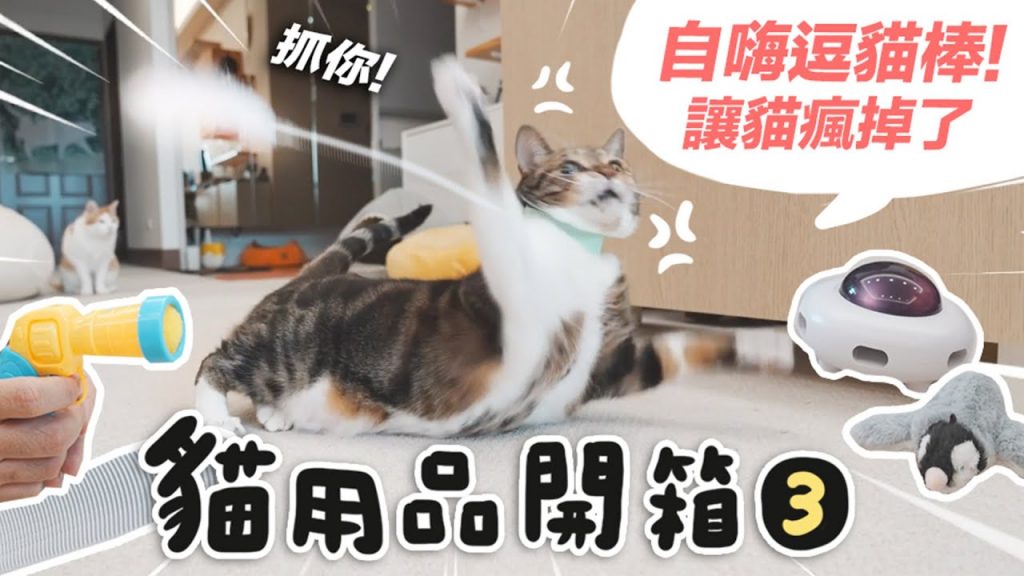 【自嗨貓玩具!讓貓瘋掉了。】#貓用品開箱 志銘與狸貓