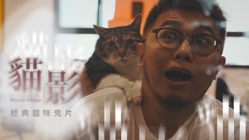 【黃阿瑪的後宮生活】《貓影》經典貓咪鬼片