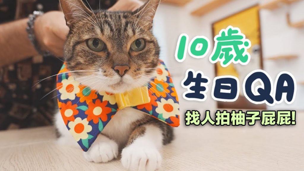 【柚子10歲生日QA!找人拍柚子屁屁!】志銘與狸貓