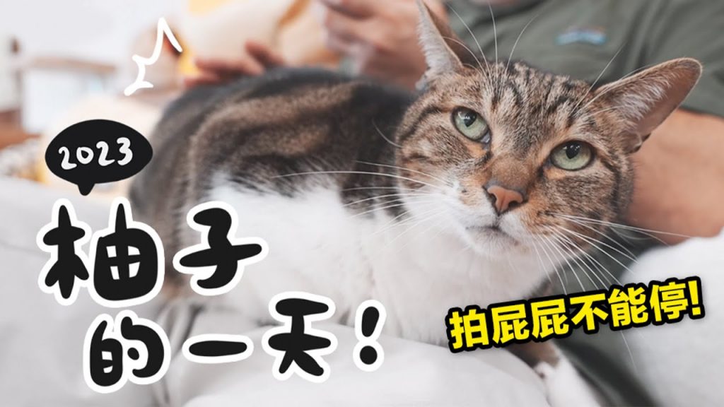 【黃阿瑪的後宮生活】2023柚子的一天!拍屁屁不能停!