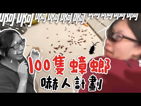 【100隻假蟑螂嚇人計劃!】志銘與狸貓