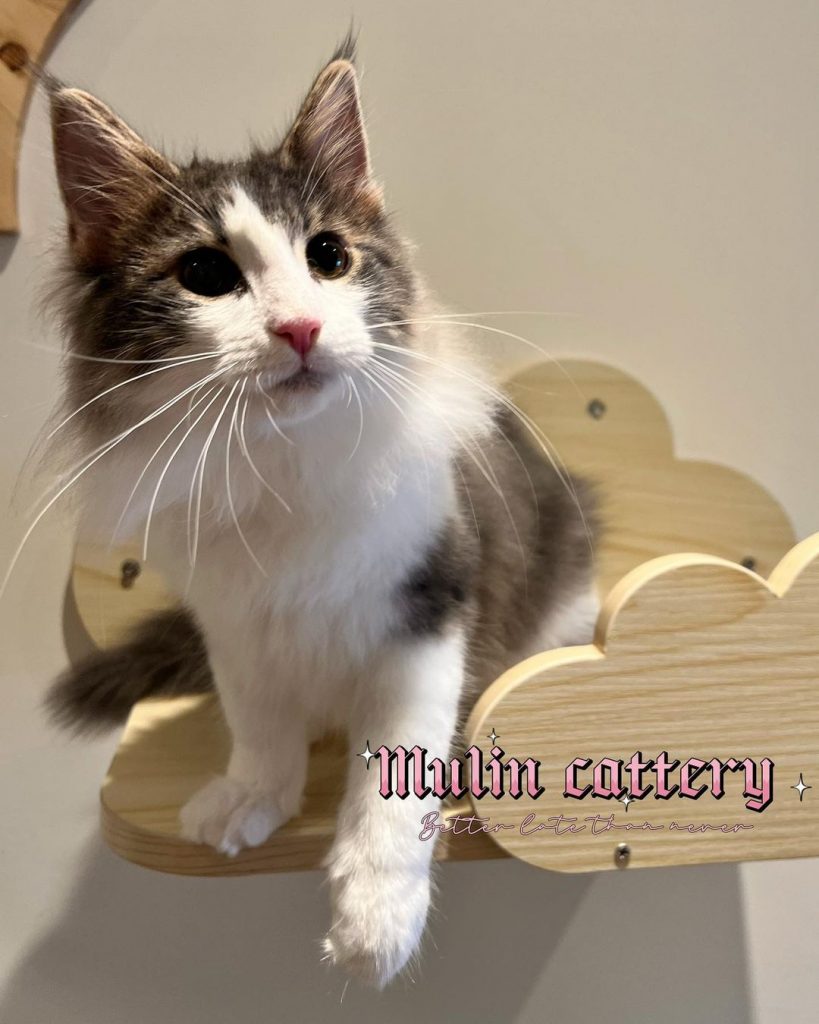 #舊照分享 #已有家長
梅雨季節到了
| ibeauty