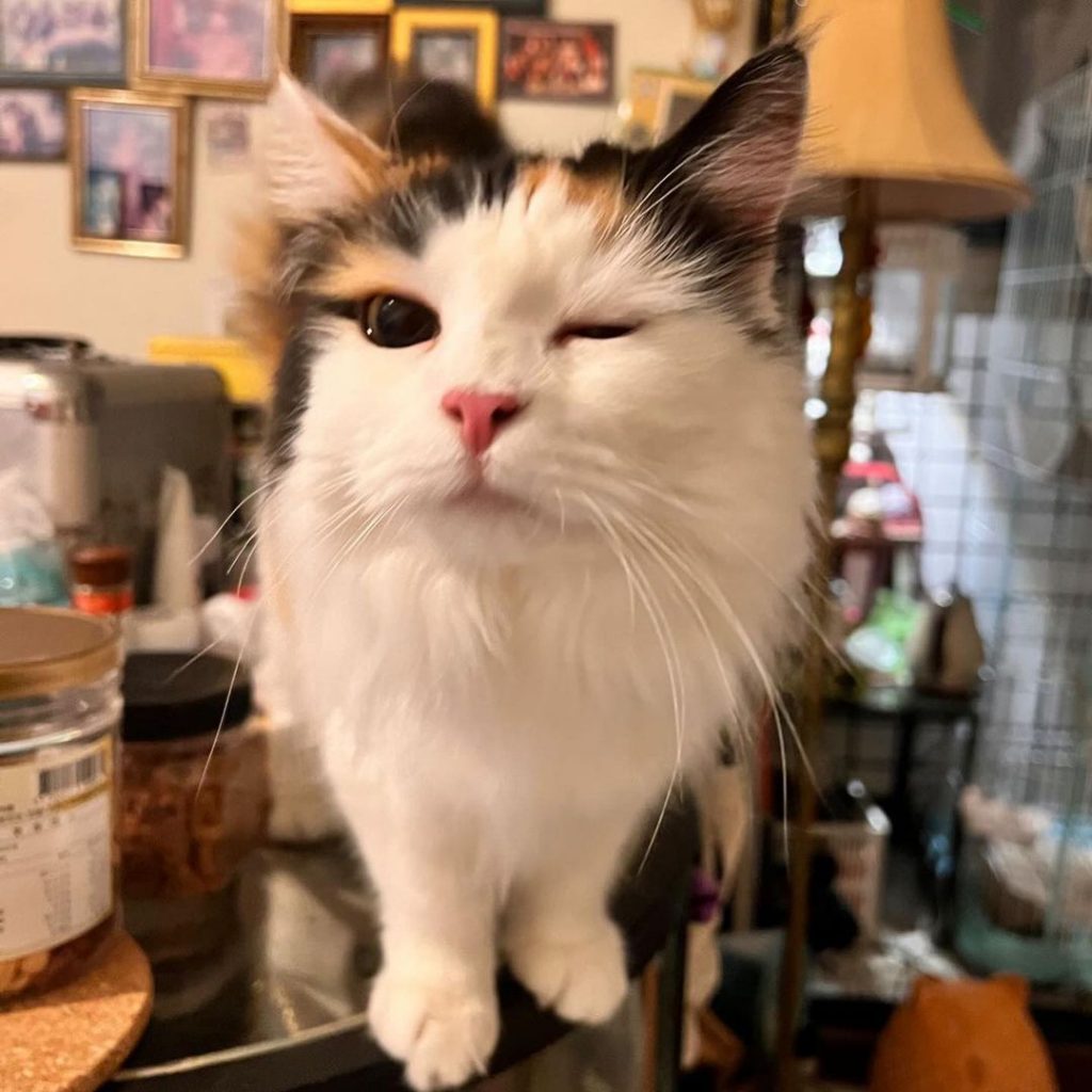 #退休生活 #家長分享
聽退休的Mera | ibeauty