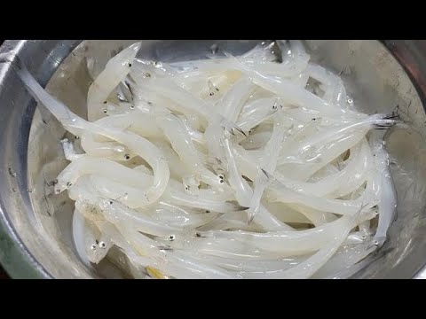 50年老廚師教我的銀魚做法,這樣做好吃又解饞,上桌馬上光盤【留意美食】#銀魚做法 #銀魚