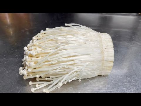 大廚教你金針菇超下飯的做法,鮮香入味,上桌連湯汁都不剩,收藏【留意美食】#金針菇 #金針菇做法