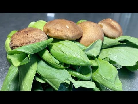 油菜香菇這樣做才好吃,學會這個做法,鮮香入味,超下飯【留意美食】#油菜香菇食譜 #炒油菜香菇做法 #mushroomrecipe