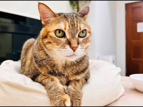 |瑪瑪信箱《第159集》