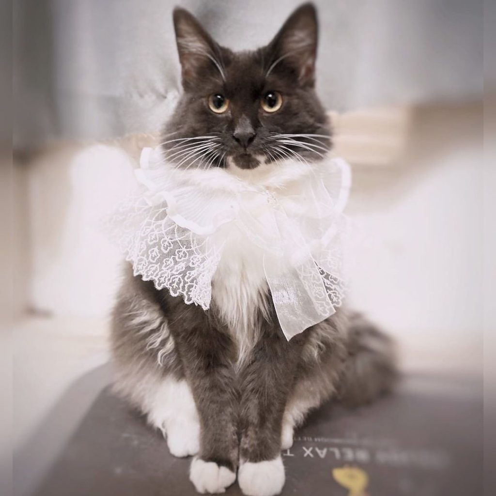 Happy birthday to C | ibeauty