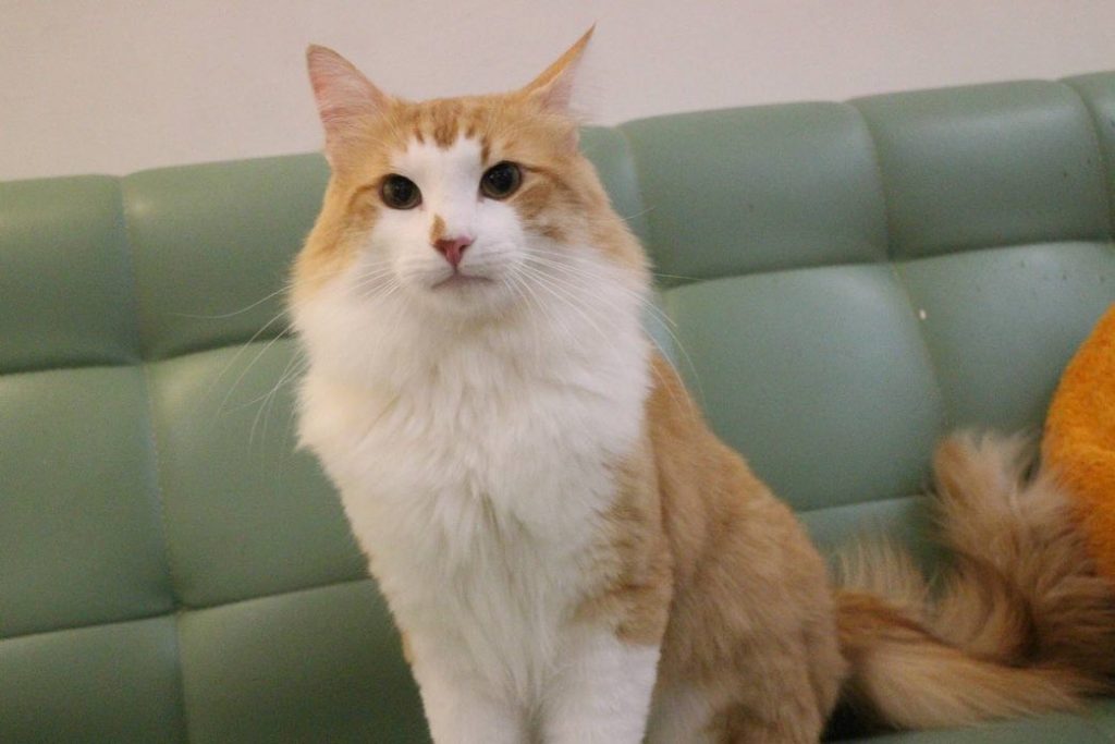 帶孩子們的爹去美容洗澡
果然是超強美容師 | ibeauty