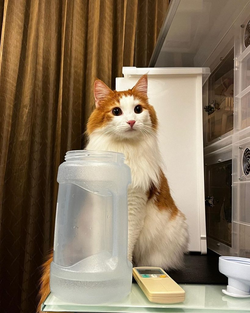 #家長分享
小芙真的是吃可愛長大的
可可 | ibeauty