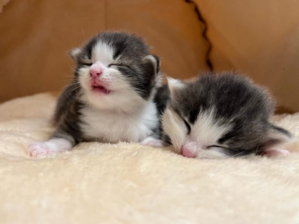 #已有家長 #舊照分享
天氣慢慢變冷了~ | ibeauty