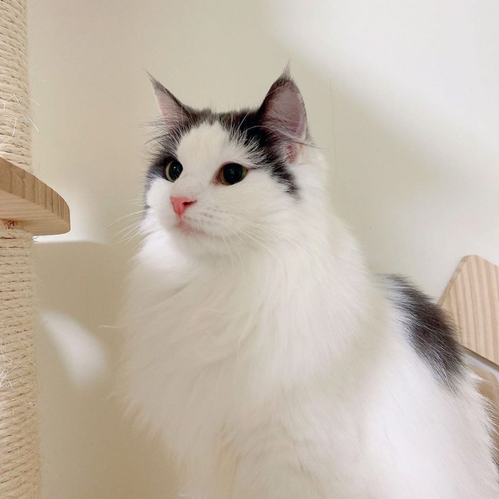 #家長分享 #A胎寶寶 @oli.ayl | ibeauty